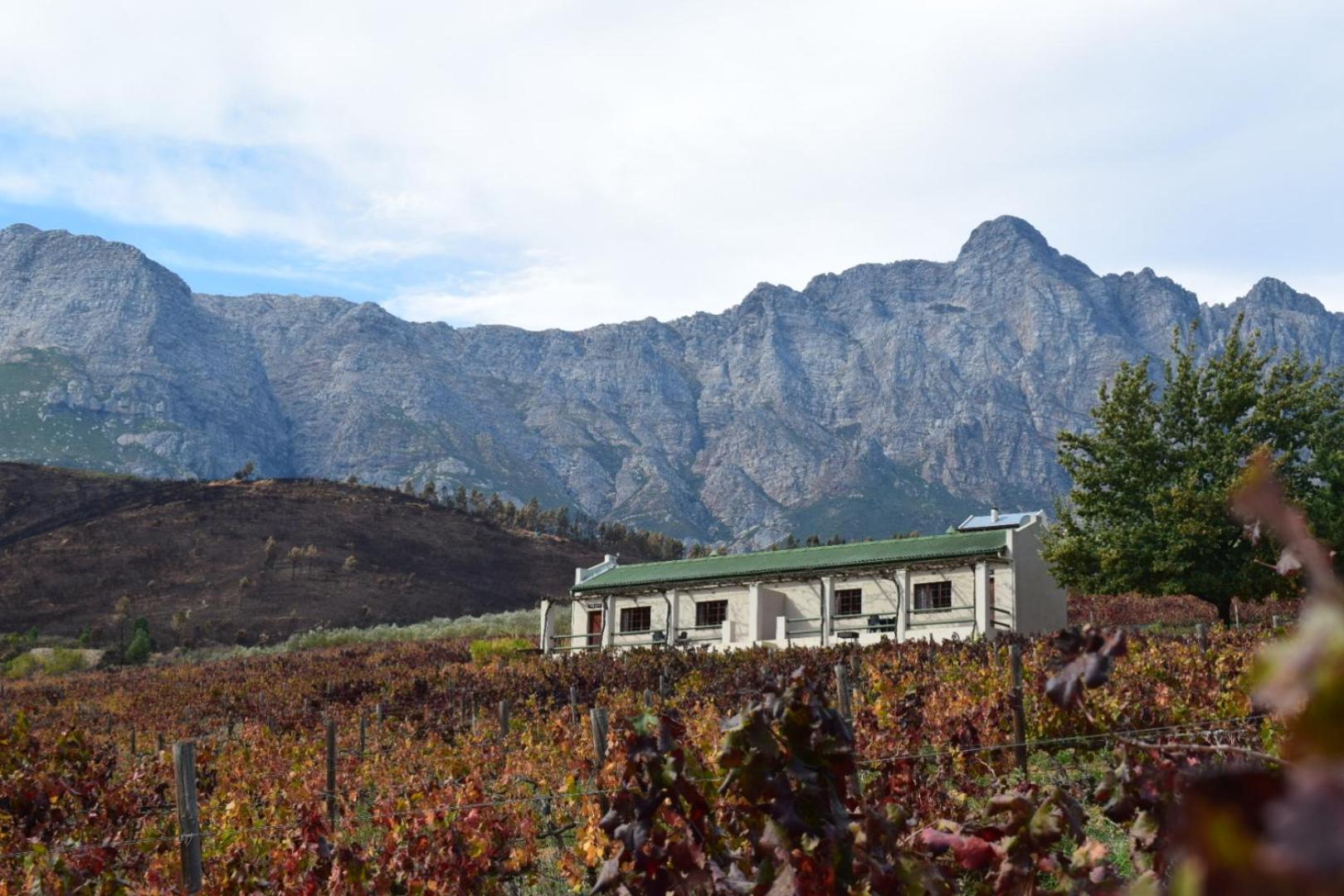 Vredehoek Guest Farm Breërivier Exterior foto
